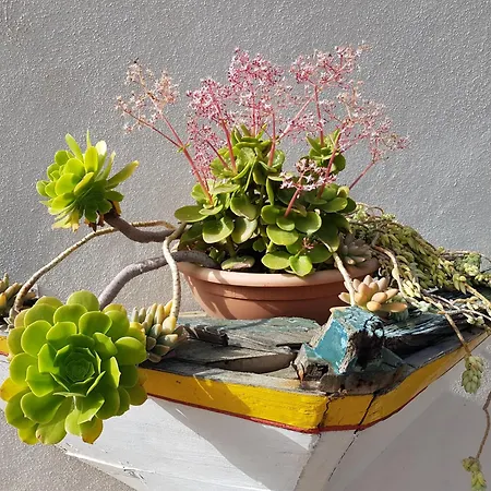 Appartamento Hyggeland Ii - Oase Der Ruhe Im Palmendorf Tazo Vallehermoso